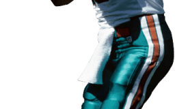 NFL Week 17: Assault On the Record Book With an&nbsp;Asterisk