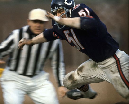 Butkus2