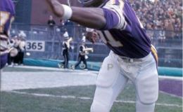 Top Ten Single Season Defenses in NFL History : #8 1975 Minnesota&nbsp;Vikings
