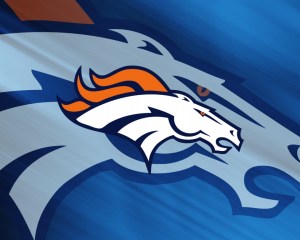 2014 AFC Champions will be the Denver Broncos