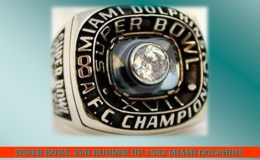 SUPER BOWL XVII RUNNER UP 1982 MIAMI&nbsp;DOLPHINS