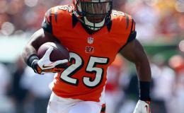 AFC Wildcard: Cincinnati Bengals v Pittsburgh&nbsp;Steelers